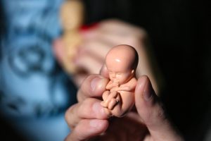 hand holding foetus