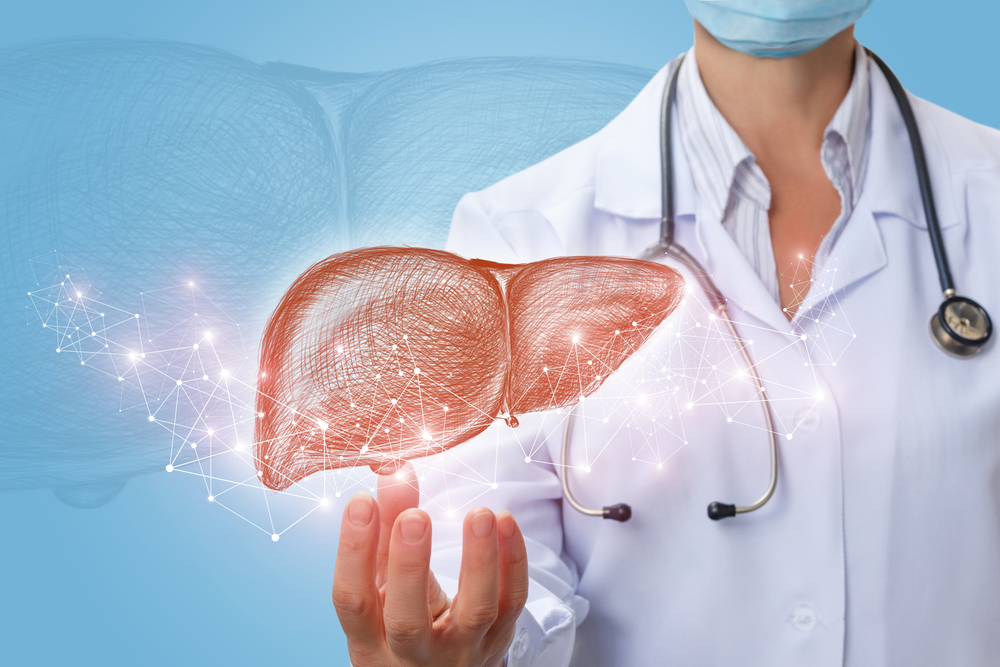 Liver: Its Functions And Conditions Affecting It