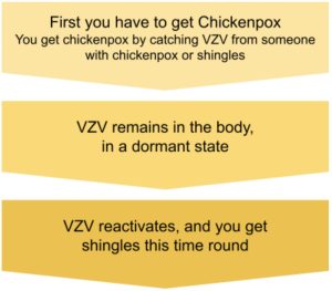 Shingles and Chickenpox