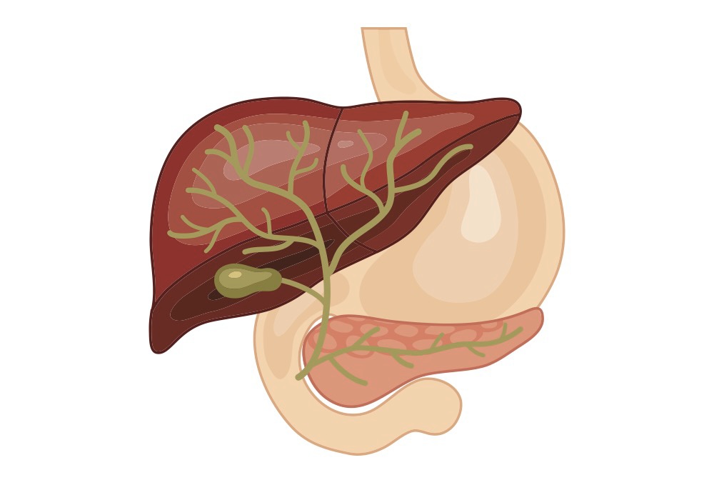 Primary Biliary Cholangitis: 5 Questions You May Have