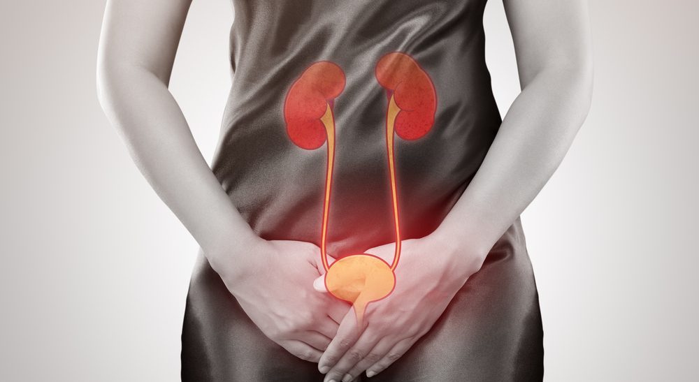 Urinary Tract Infections (UTIs): Why Do They Occur?