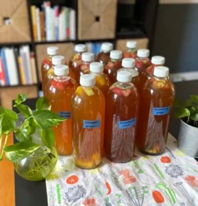 Kombucha