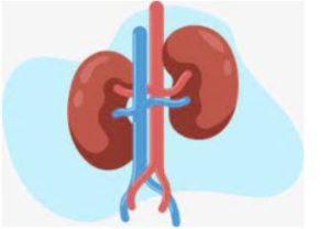 chronic kidney disease (CKD)