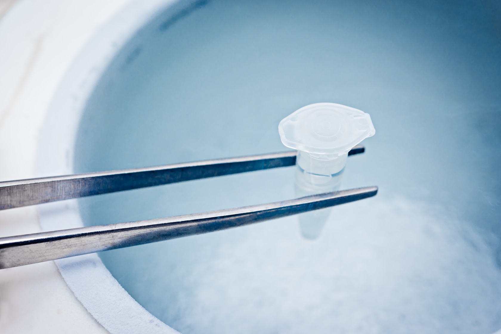 Egg Freezing – what’s your take?