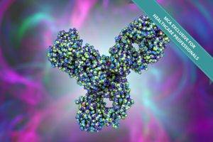 immune checkpoint inhibitors in oncology pembrolizumab keytruda
