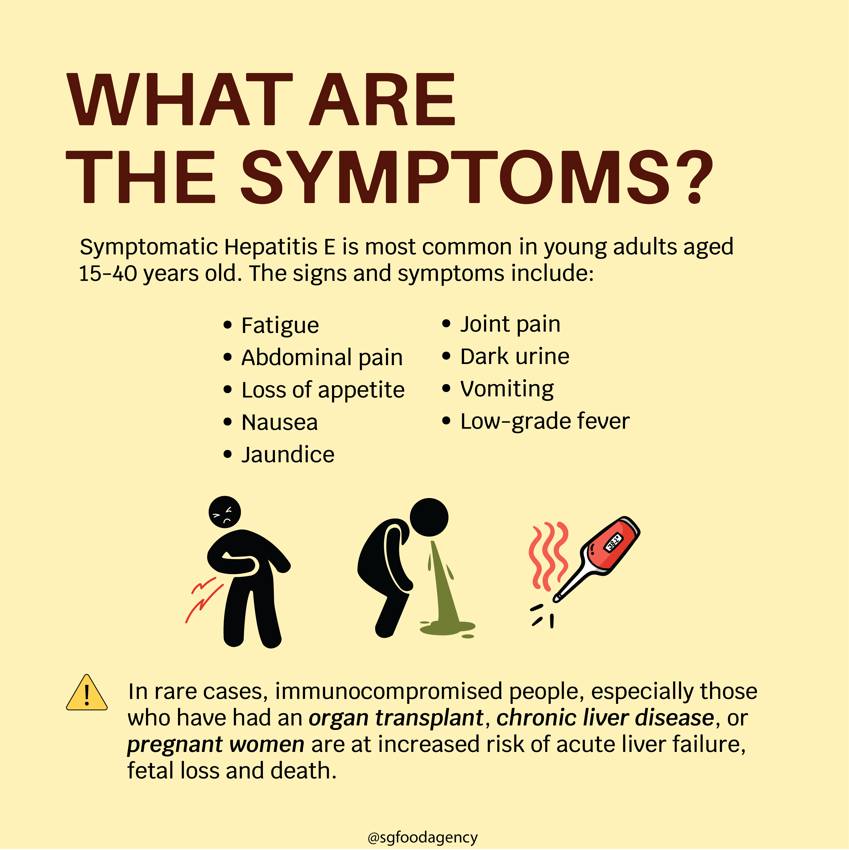 Symptoms of Hepatitis E