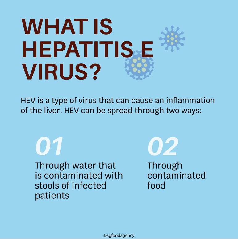What is Hepatitis E virus