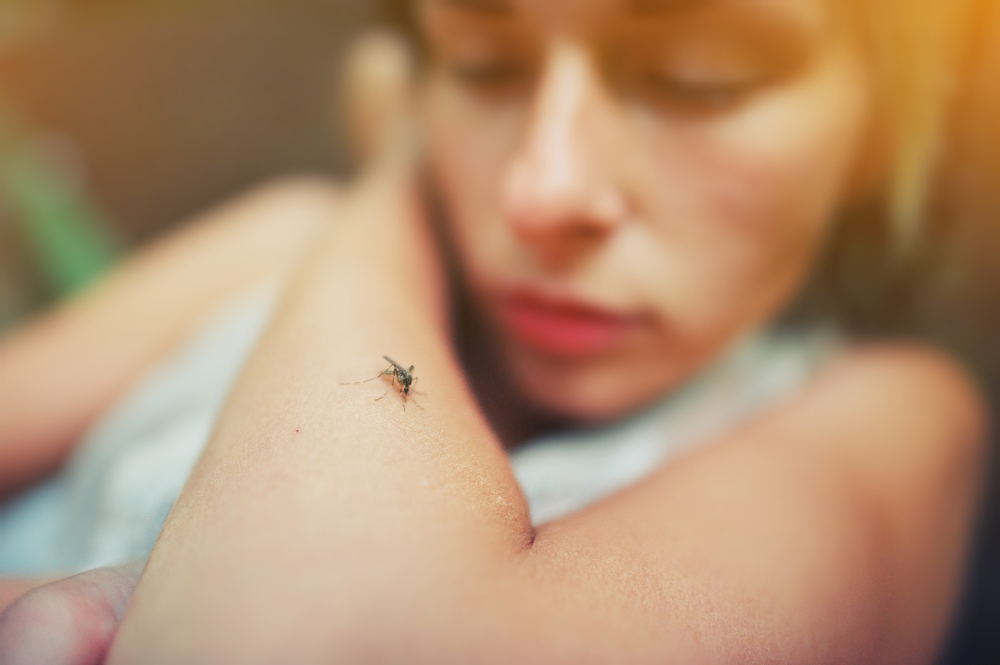 The Unstoppable Dengue Fever: How To Protect Yourself