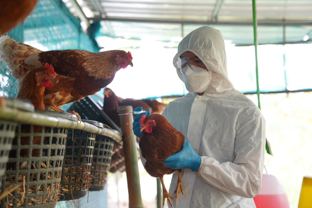 WHO confirms world’s first human fatality from H3N8 bird flu in China