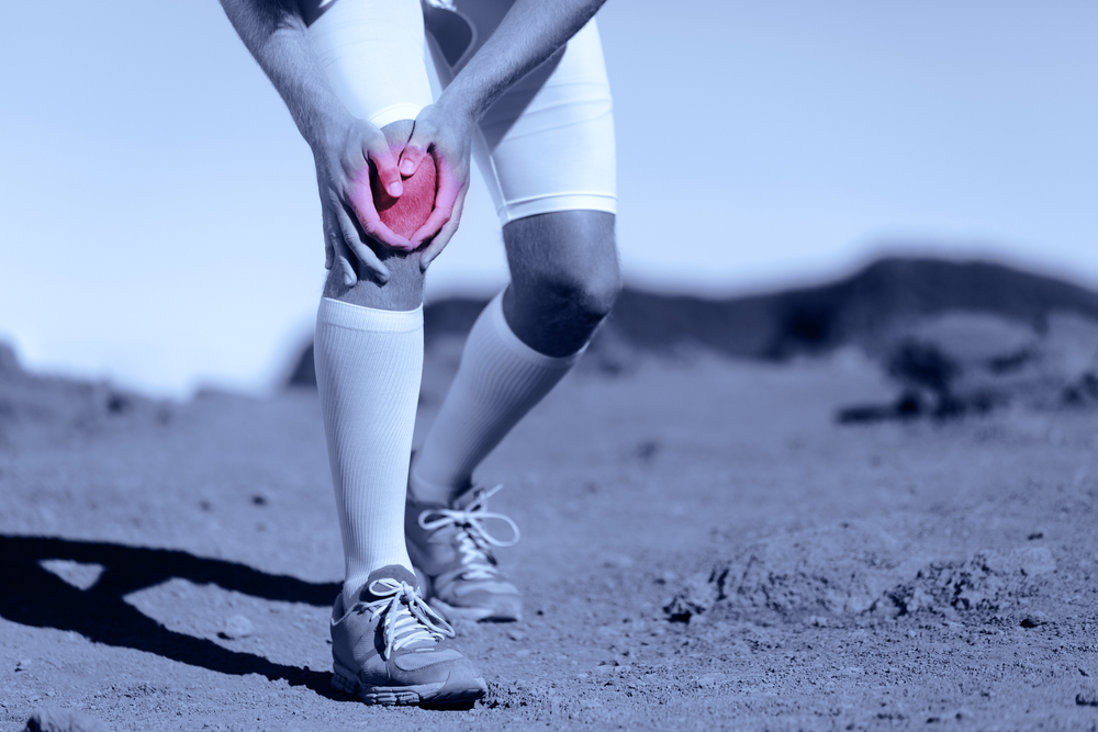 Controversial Findings: Can a Torn ACL Truly Heal Itself?