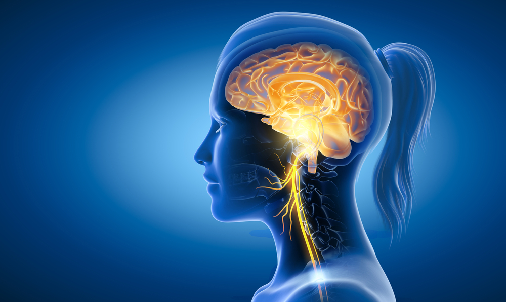 Vagus Nerve Stimulation: What’s Behind the Latest Buzz in Wellness Trends?