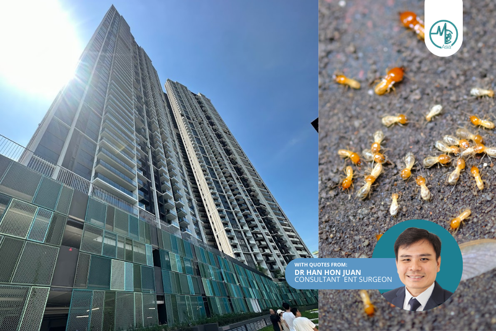 Termite Infestation in Singapore Condo Avenue South Residence: Medical Perspective