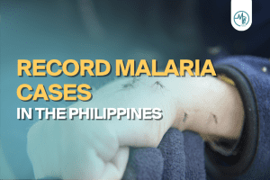 malaria cases