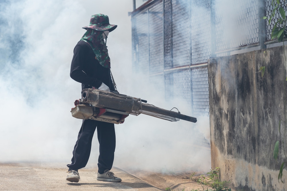 Fogging And Wolbachia Mosquitoes: Dengue Prevention Or Waste Of Resources?