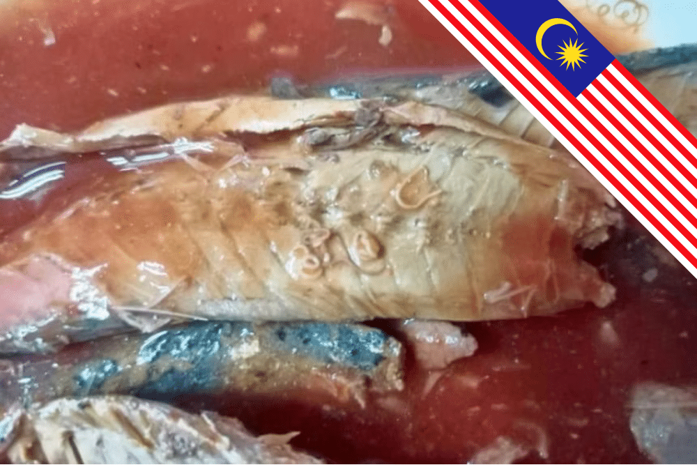 Malaysia Seizes 16 Tonnes of Canned Sardines Contaminated with Parasitic Worms