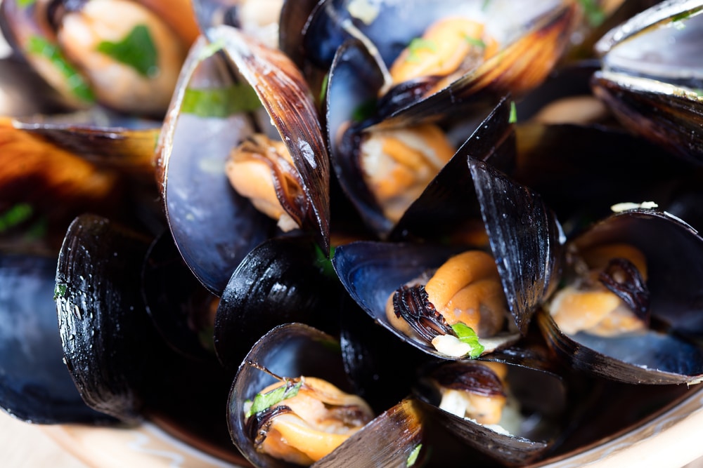 Singapore Issues Biotoxin Alert: Mussels from Port Dickson, Malaysia Unsafe for Consumption