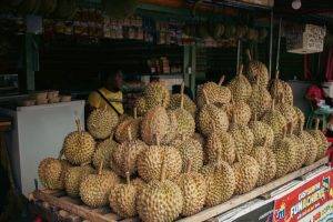 durians health benefits and risks