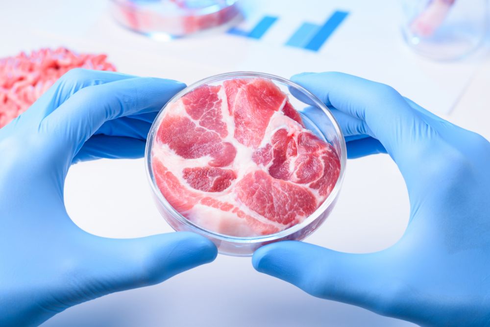 Is lab-grown meat healthier than meat reared from livestock?