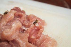 WHO contaminated food foodborne illnesses