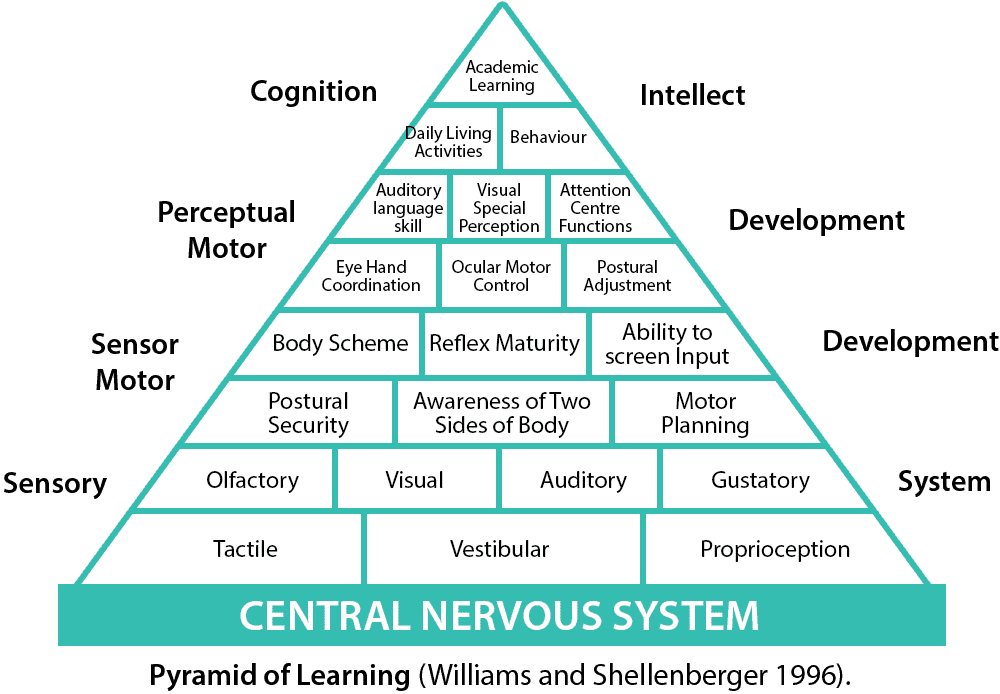 pyramid of learning