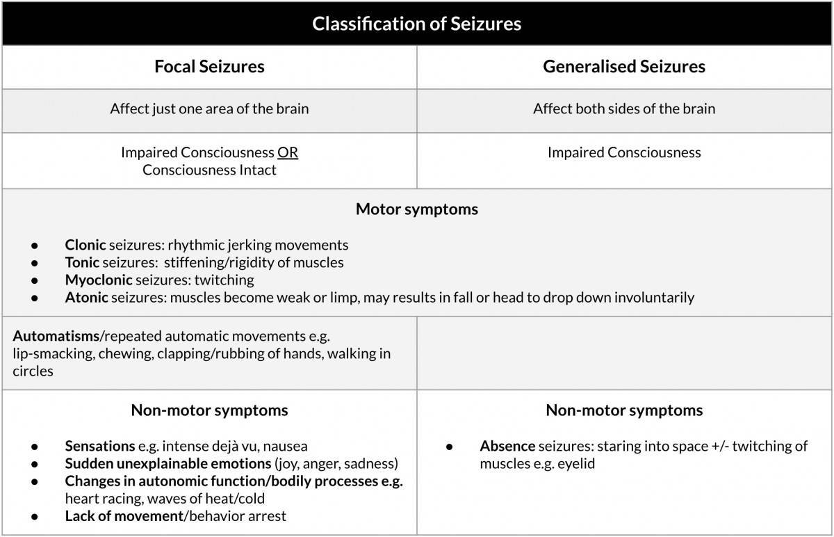 Epilepsy seizure types