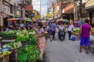 Shutterstock 785462050