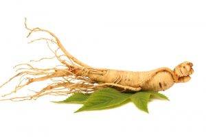 Ginseng Root