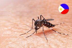 dengue fever cases up by 316 in eastern visayas