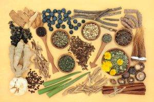 Adaptogen,Herb,&,Spice,Health,Food,Selection.,Natural,Plant,Based