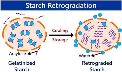 Retrograded starch