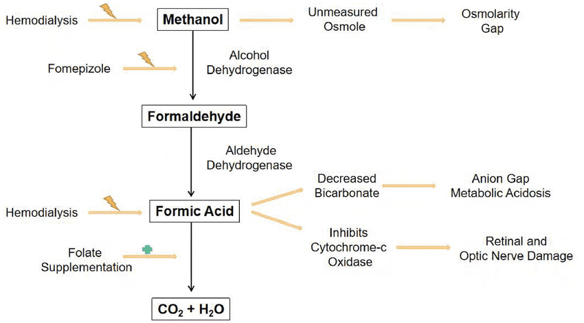 Simplified diagram of the methanol pathway with the resulting signs and interventions