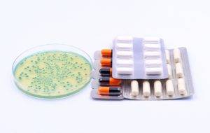 Petri,Dish,Containing,Colonies,Of,Escherichia,Coli,Bacteria,Next,To