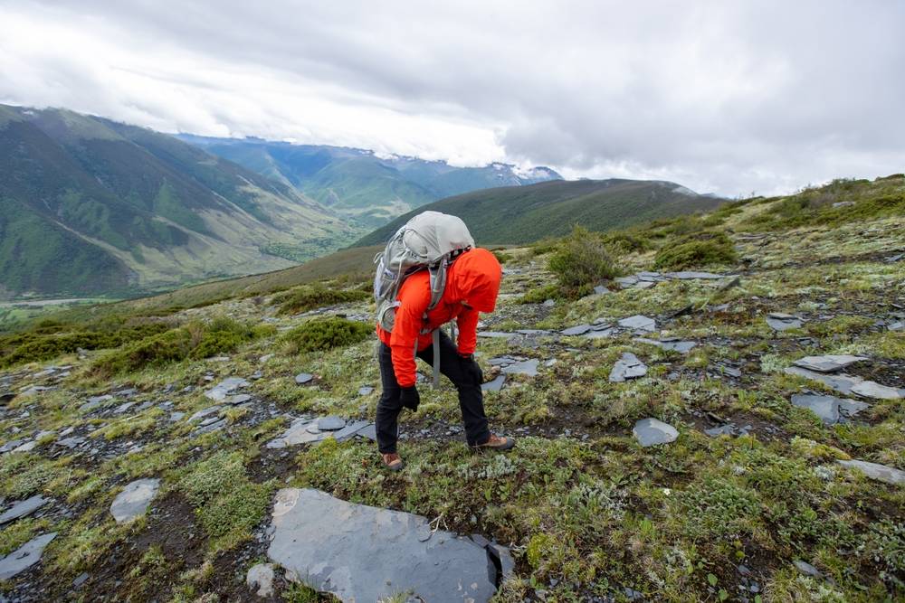 Hiking,Woman,On,High,Altitude,Mountain,Top