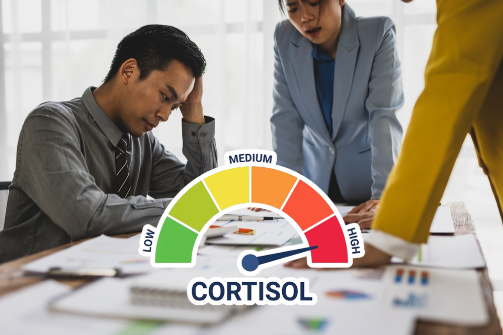 Low Cortisol/High Cortisol: The Hormone Behind the Meme