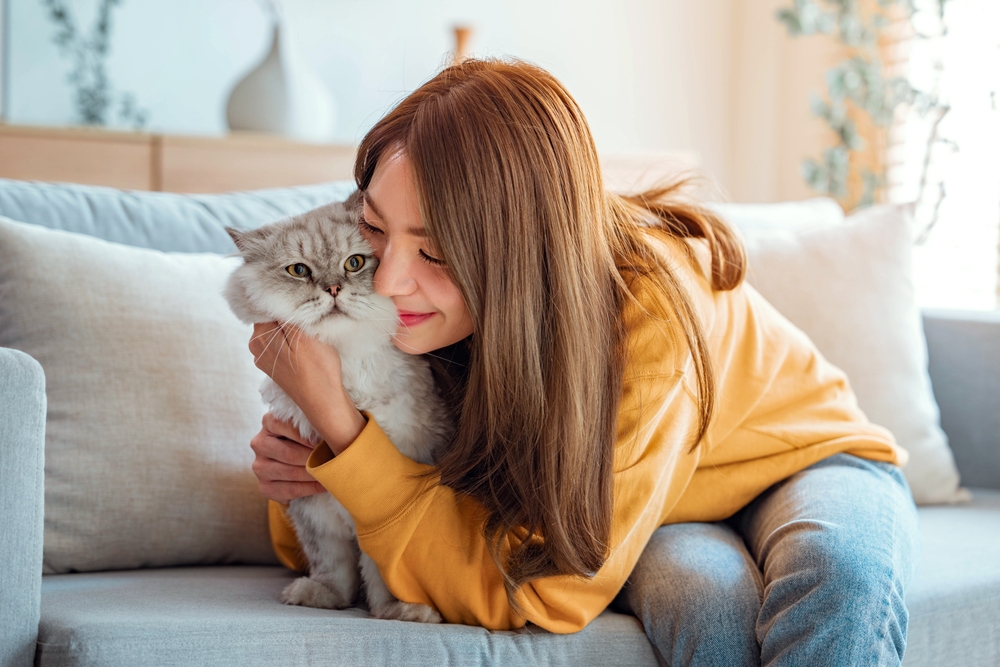 Is a Parasite Making Us Love Cats?